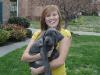  Blue Great Dane Pups for sale Danescountry Breeder 